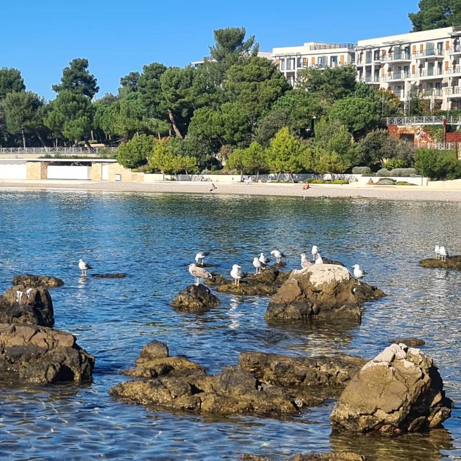 Vila Tena Rovinj Croatia Zewnętrze zdjęcie