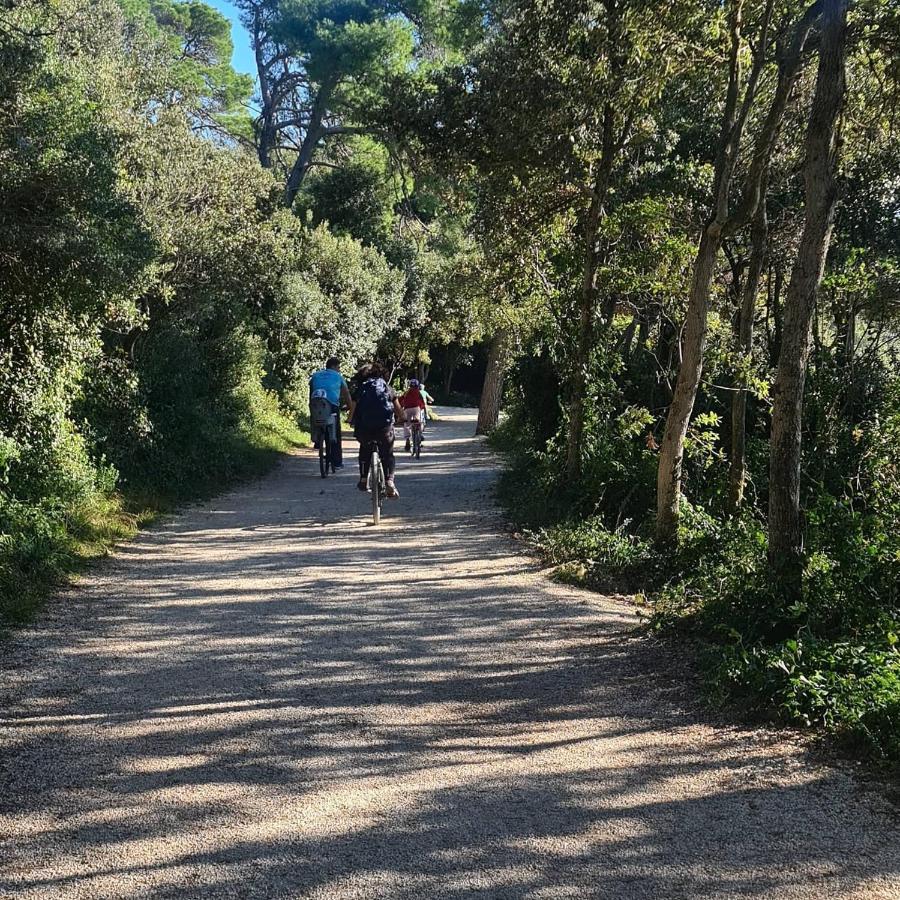 Vila Tena Rovinj Croatia Zewnętrze zdjęcie