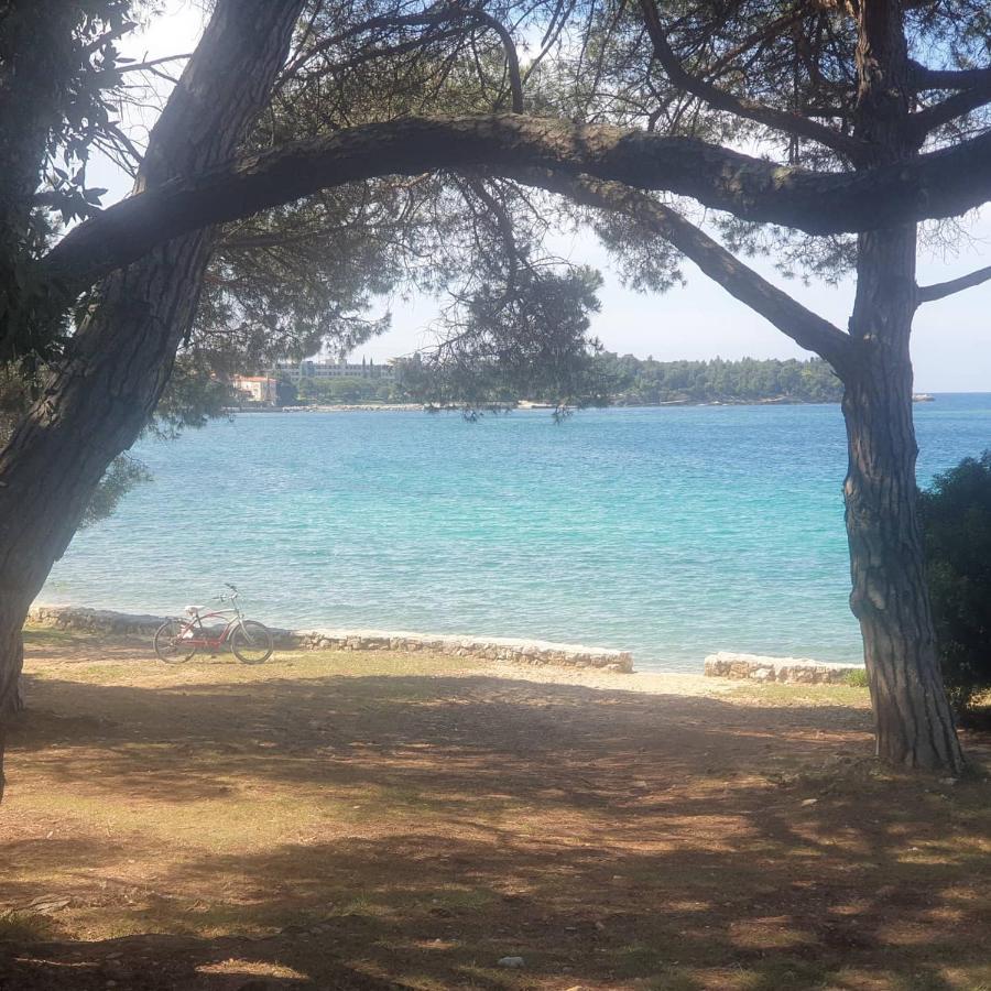 Vila Tena Rovinj Croatia Zewnętrze zdjęcie