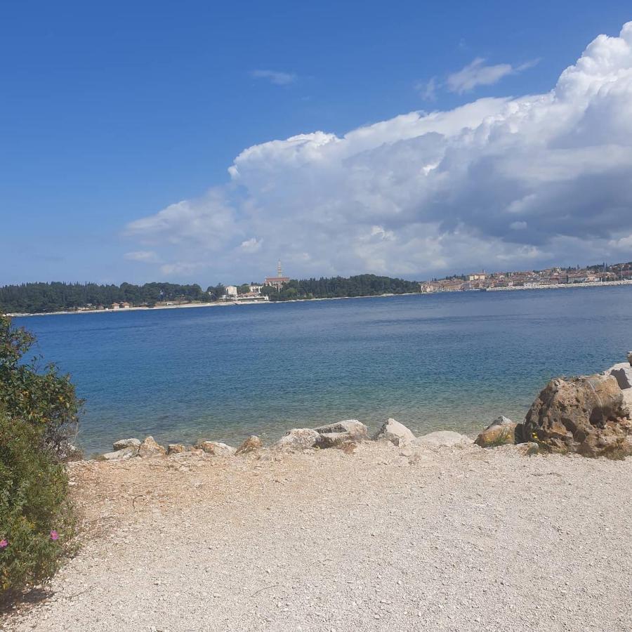 Vila Tena Rovinj Croatia Zewnętrze zdjęcie