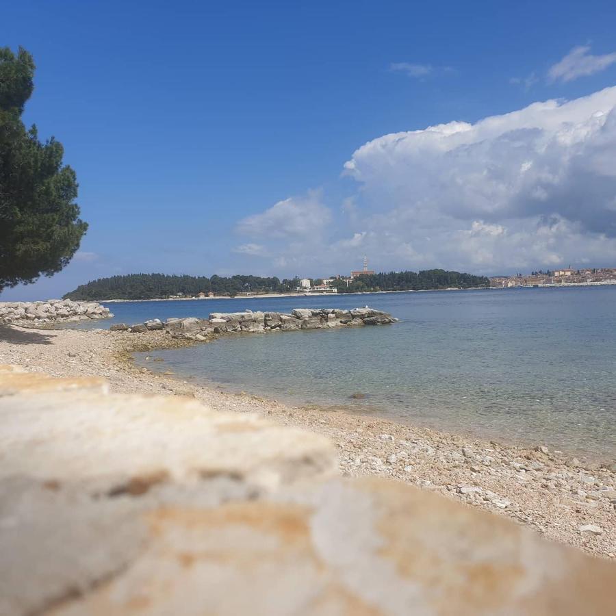 Vila Tena Rovinj Croatia Zewnętrze zdjęcie