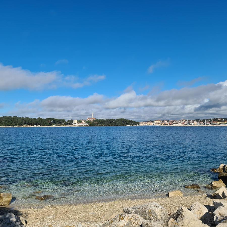 Vila Tena Rovinj Croatia Zewnętrze zdjęcie