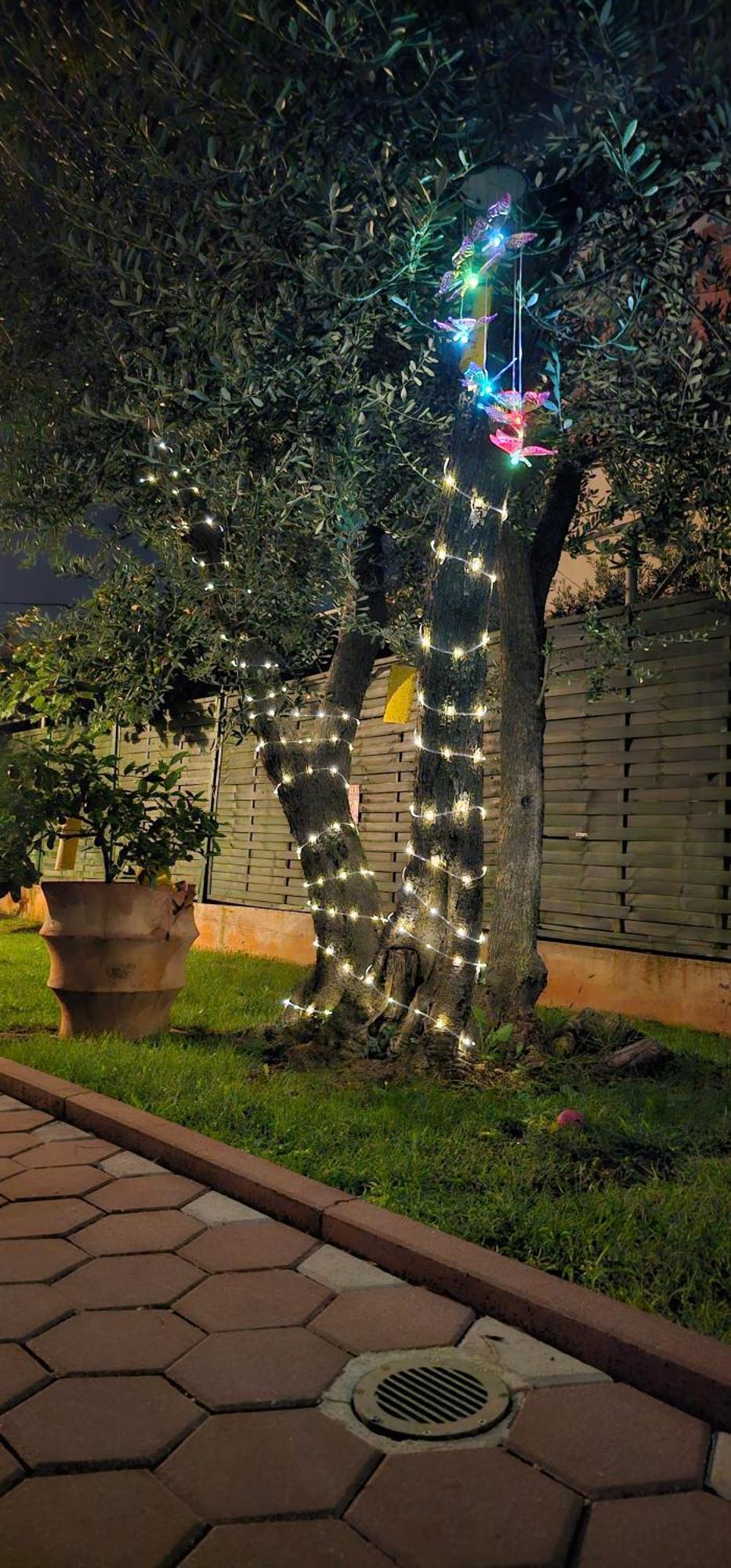 Vila Tena Rovinj Croatia Zewnętrze zdjęcie